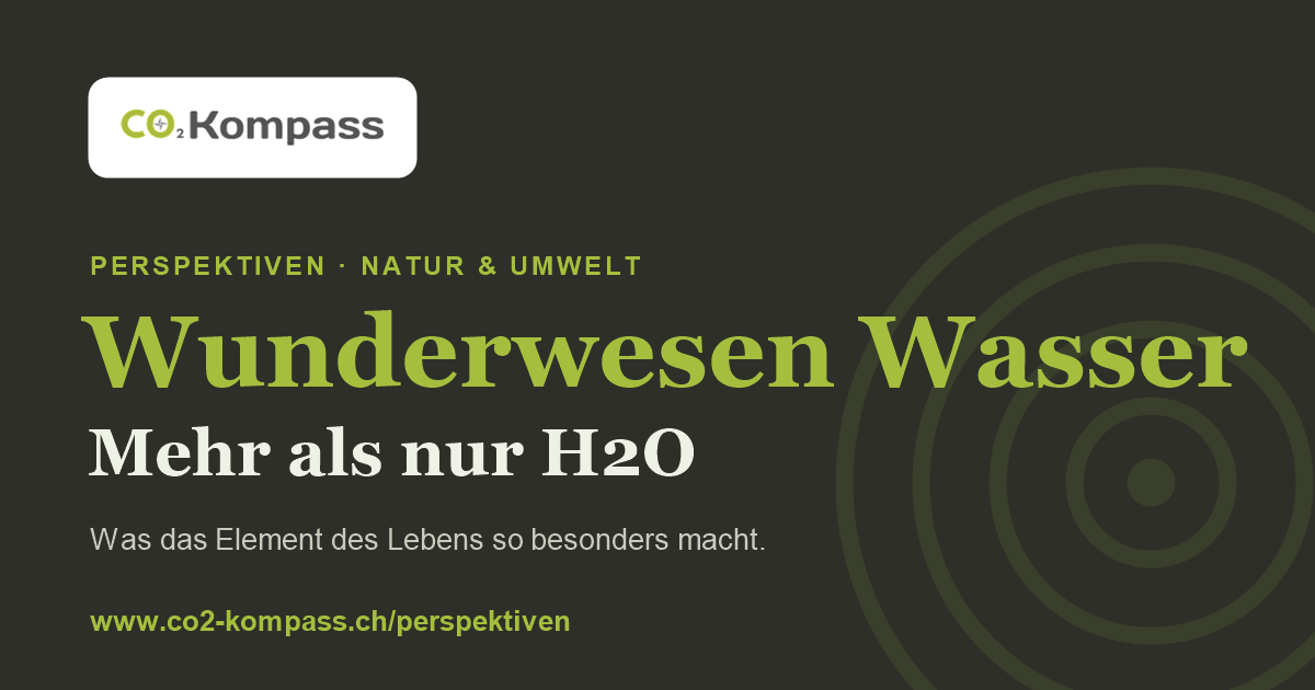 Wunderwesen Wasser: mehr als nur H2O — was das Element des Lebens so besonders macht